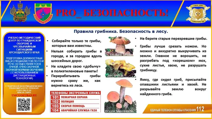 2_5388769447655776291_page-0002